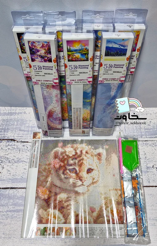 نقاشی الماسی بزرگسال ۳۰×۳۰(۱۶عددی)